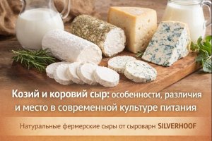 Натуральные фермерские сыры: особенности производства и значение продукции