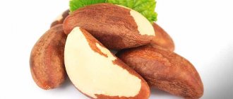 Brazilian nut. Healthy nuts 