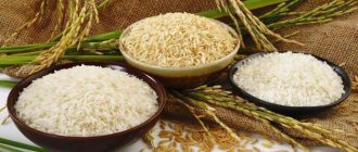 фарш с рисом на сковороде