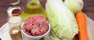 how to make cabbage rolls with minced meat
