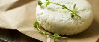 How to make goat milk cheese at home: simple recipes. How to make cheese from goat&#39;s milk: recommendations 