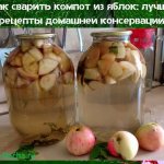 как сварить компот из яблок