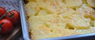 Картошка с сыром – 8 очень вкусных рецептов