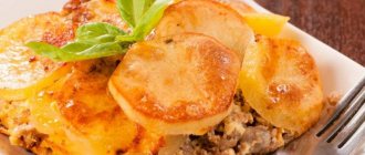 Картошка в духовке с фаршем слоями: ингредиенты, рецепт и время приготовления