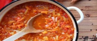 Lecho made from pepper, tomato, carrots and onions, recipe for preparations for the winter