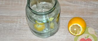 Lemon in a jar