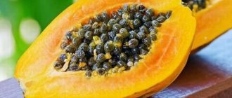 Is it possible to eat papaya with pancreatitis: the benefits and harms of the fruit?