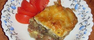 vegetable casserole with minced meat
