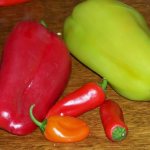 pepper for pickling