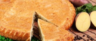 Пироги с картошкой на кефире – аналог осетинских! Мясо, рыба, или овощи - в рецептах пирогов с картошкой на кефире