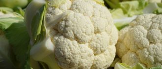 Пюре из цветной капусты – 7 рецептов, как приготовить вкусное и полезное овощное пюре