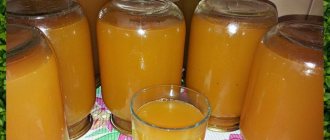 apple juice recipe for the winter using a juicer