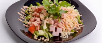 Salad with ham and cheese - 17 homemade recipes