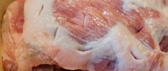 Шейка свиная в духовке целым куском: лучшие рецепты приготовленияP