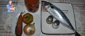 Скумбрия в томатном соусе с овощами — рецепт с фото