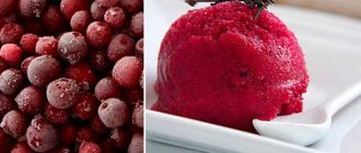 Simple cranberry sorbet