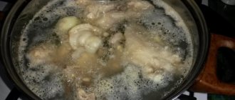 Soup Grout. Recipe for milk with chicken, egg, meat, mushrooms 