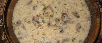 Cheese soup with melted cheese and champignons recipe