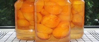 Такие абрикосы хороши тем, что готовятся без добавок и максимально сохраняют витамины
