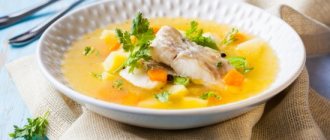 Sterlet soup – the incomparable taste and aroma of fish soup. How to cook delicious sterlet soup 