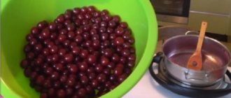 Cherry jam with pits for the winter - recipe with photos [8 recipes]
