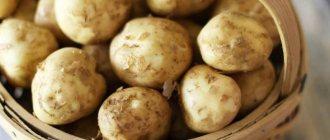 Вторые блюда из картошки: простые рецепты