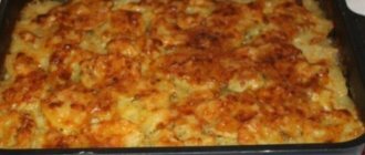 raw potato casserole with minced meat